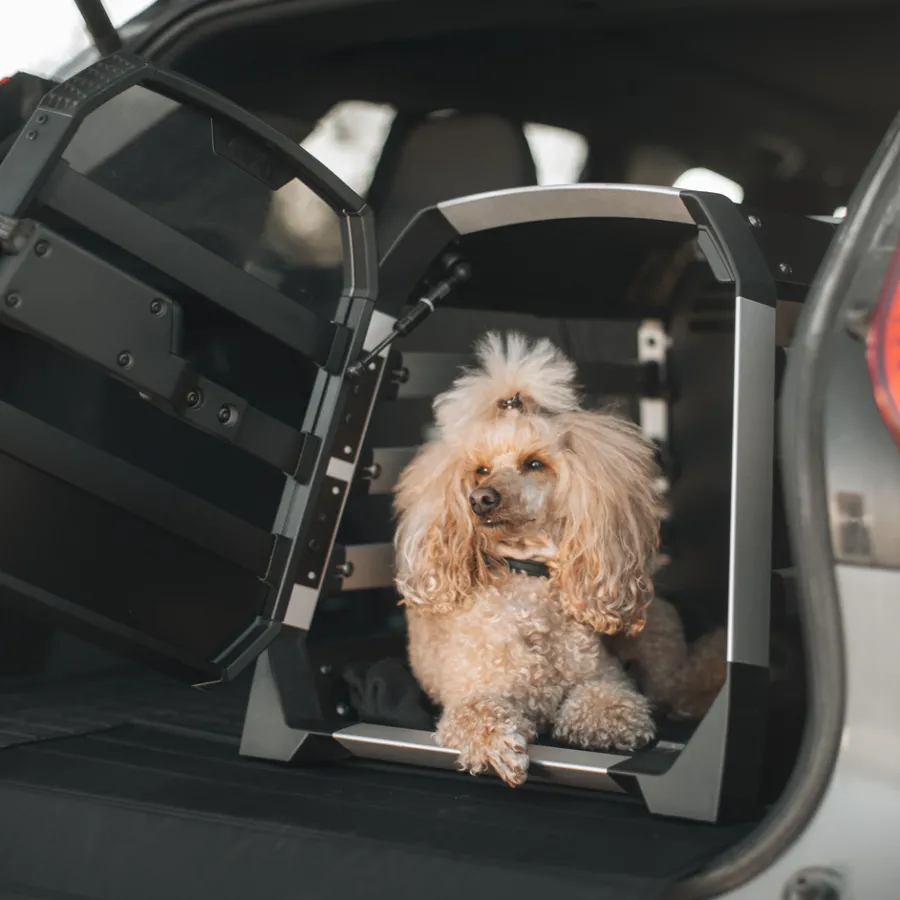 Trasportini Per Cani*Thule Allax XL Compact Nero/alluminio