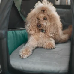 Accessori Per Cani|Rimorchi Per Cane*Thule Bexey dog bed L Nero