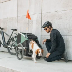 Rimorchi Per Cane|Rimorchi Per Bici Per Cani*Thule Bexey L Hazy green