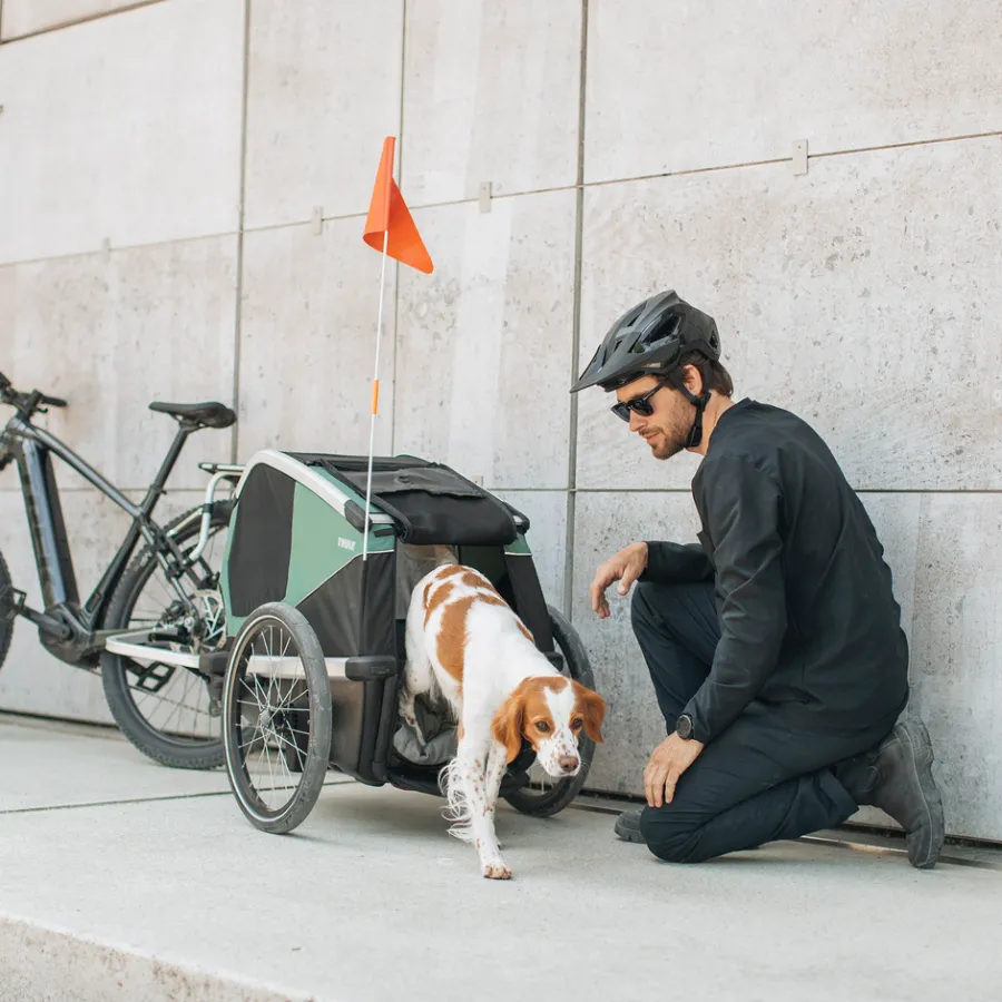 Rimorchi Per Cane|Rimorchi Per Bici Per Cani*Thule Bexey L Hazy green