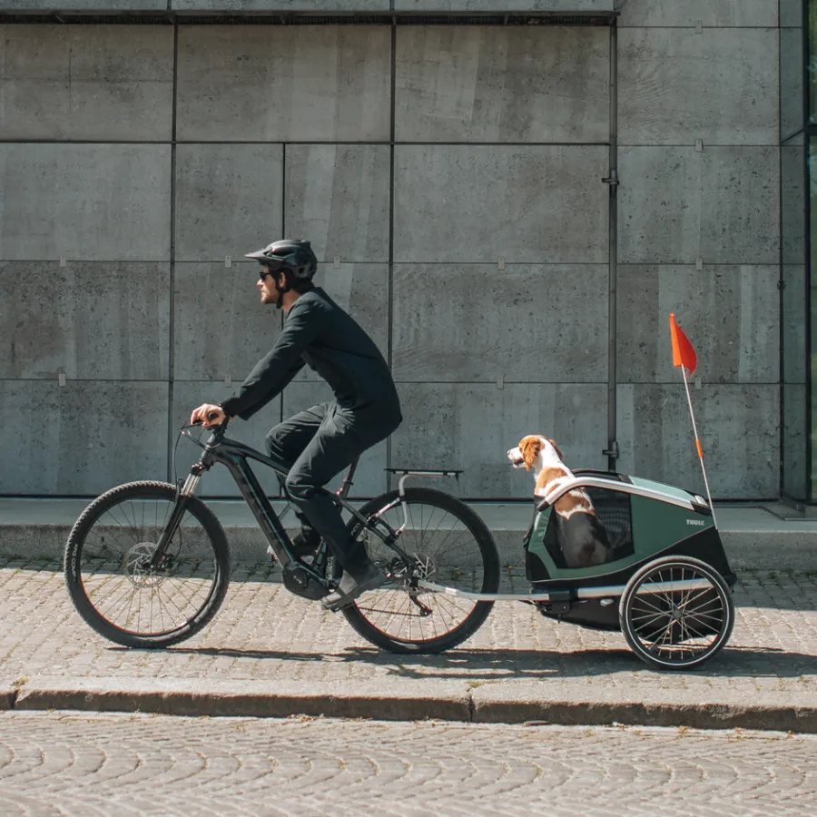 Rimorchi Per Cane|Rimorchi Per Bici Per Cani*Thule Bexey L Hazy green