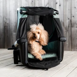 Rimorchi Per Cane|Rimorchi Per Bici Per Cani*Thule Bexey L Hazy green