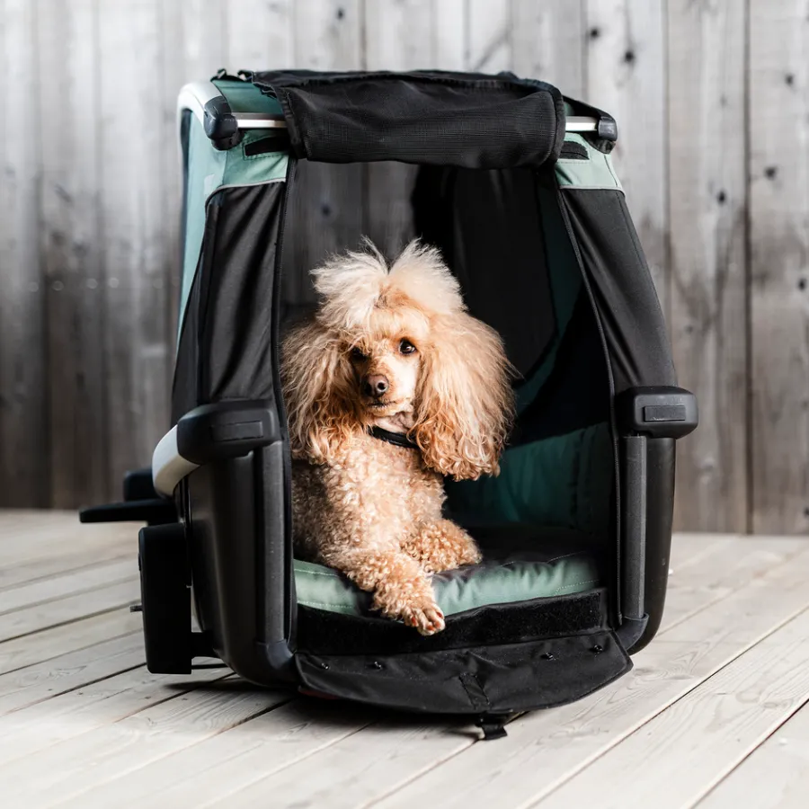 Rimorchi Per Cane|Rimorchi Per Bici Per Cani*Thule Bexey L Hazy green