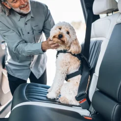 Imbracature Per Cani Da Auto*Thule Cappy
