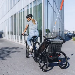 Pacchetti Rimorchio Per Bici|Pacchetti Rimorchio Per Bici*Thule Chariot Lite single infant bundle Agave