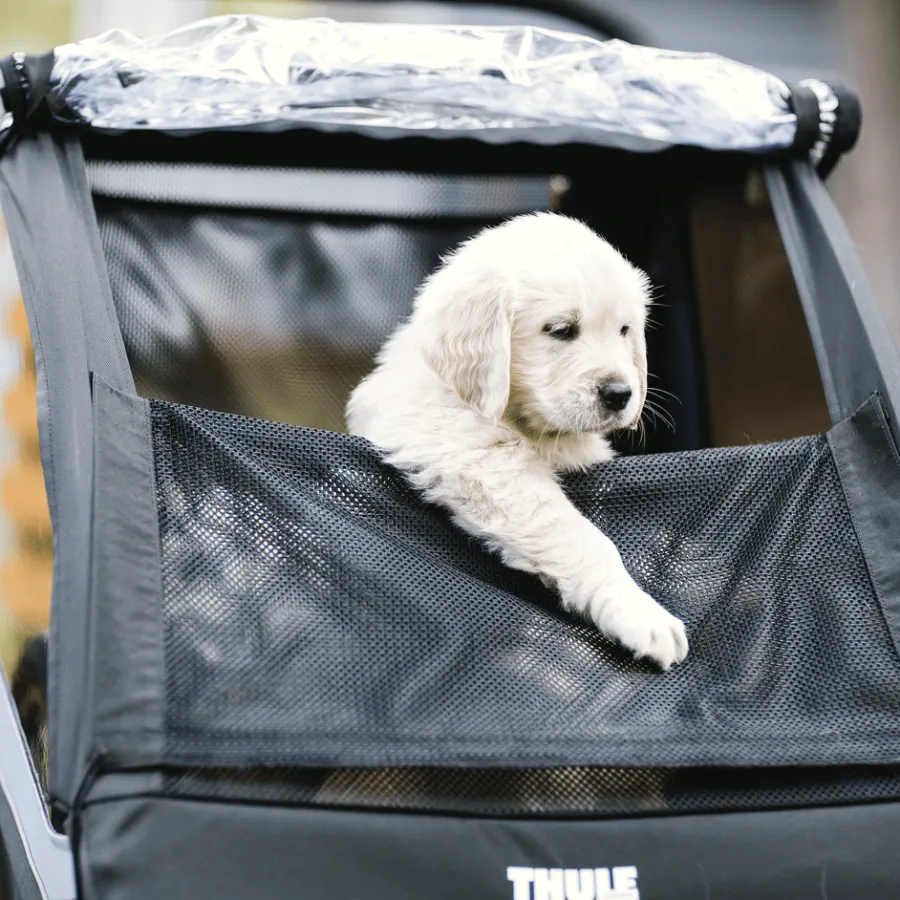 Rimorchi Per Bici Per Cani|Rimorchi Da Bici Per Carichi*Thule Courier Blu egeo