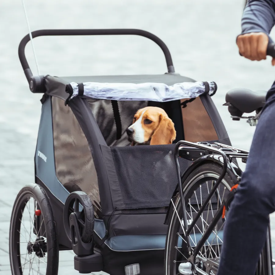 Rimorchi Per Bici Per Cani|Rimorchi Da Bici Per Carichi*Thule Courier Blu egeo