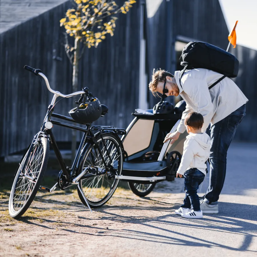 Rimorchi Per Bici Per Cani|Rimorchi Da Bici Per Carichi*Thule Courier Blu egeo