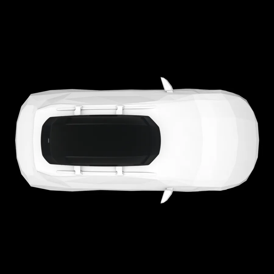 Box Da Tetto*Thule Force 3 L Nero opaco