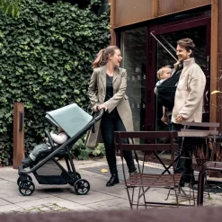 Passeggini Compatti*Thule Shine Alluminio/verde germano reale