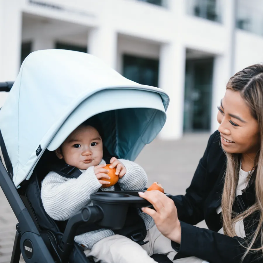 Accessori Per Passeggini*Thule stroller snack tray Nero